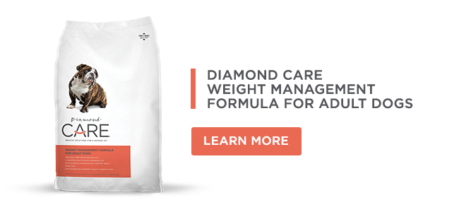 Weight Management for Adult Dogs